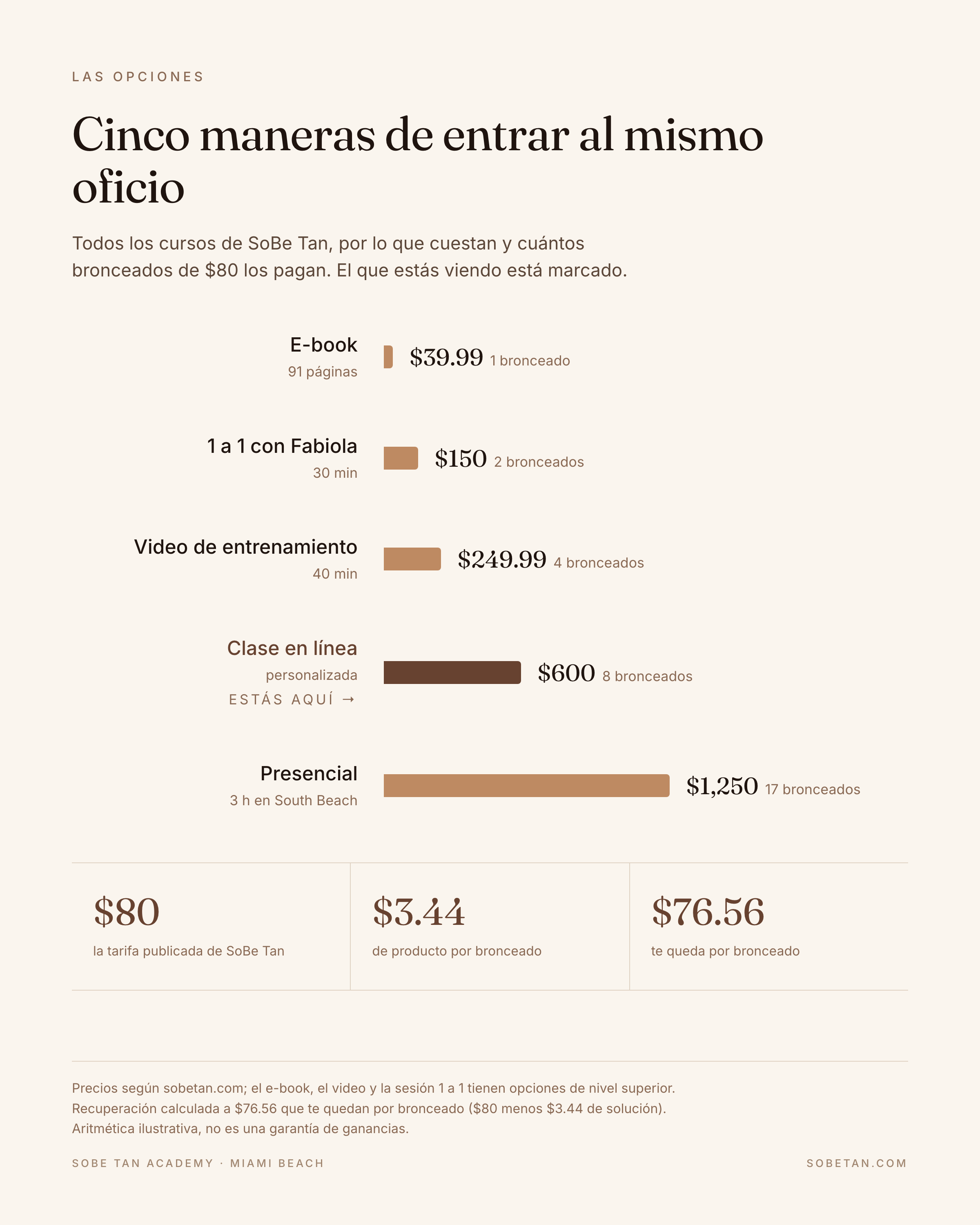 Entrenamiento De Bronceado En Línea